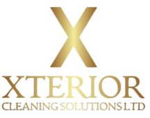 Untitled design (20)